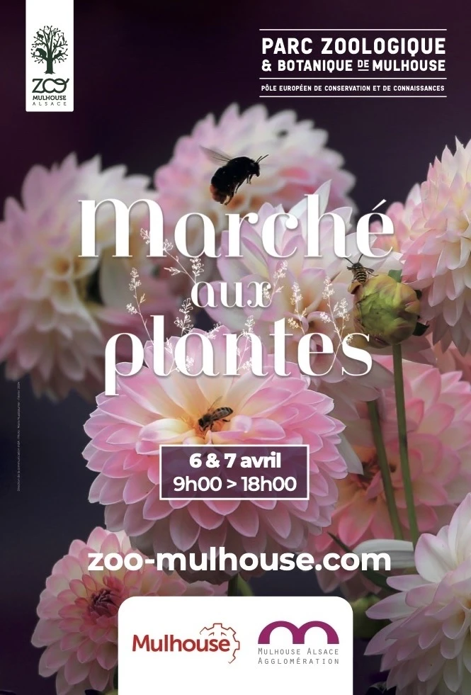 Marché aux plantes Mulhouse